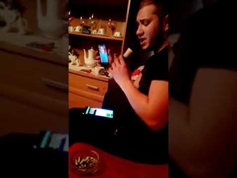 Daryus de la gligoresti