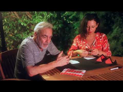 INSANITY Gimmicks and Online Instruction by Jean Pierre Vallarino