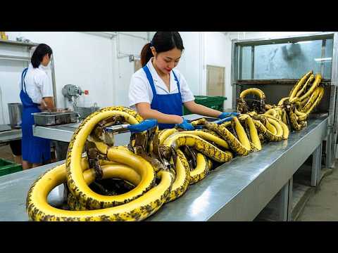 120 SATISFYING VIDEOS OF WORKERS WHO DO THEIR JOB PERFECTLY