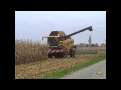 Gobin + Van Slambrouck: Mais dorsen.