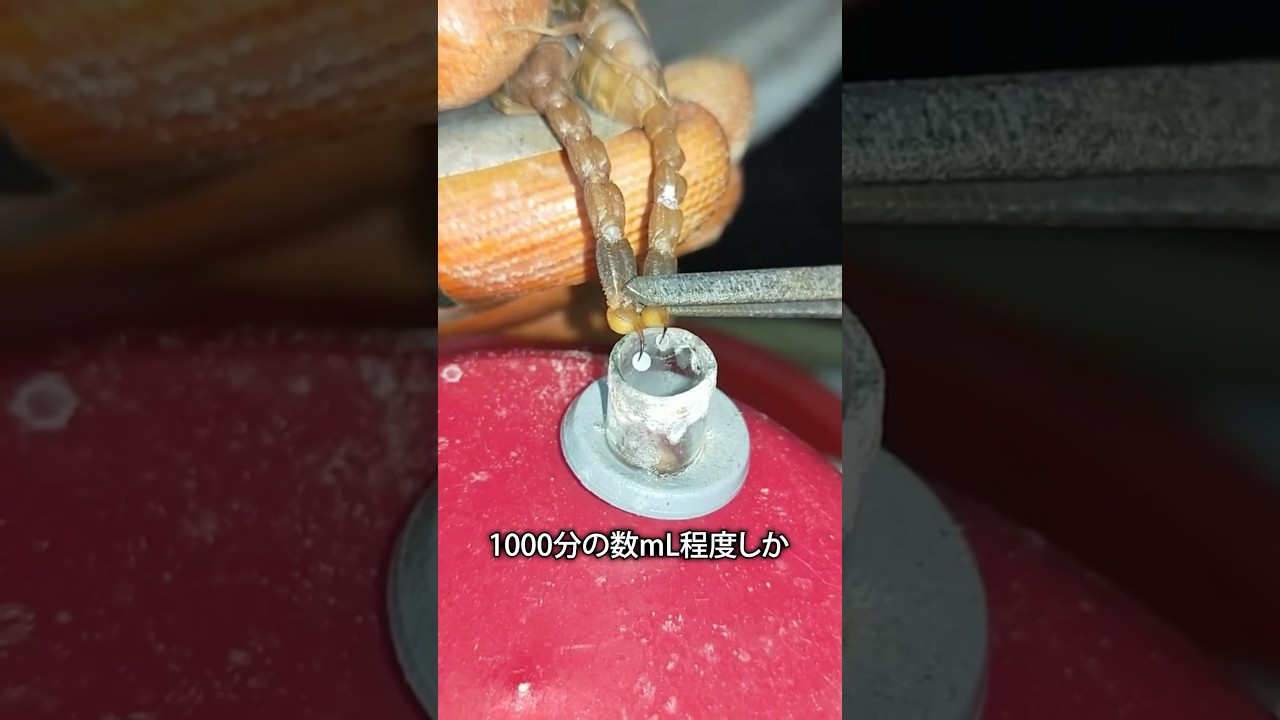 1リットル10億の毒液