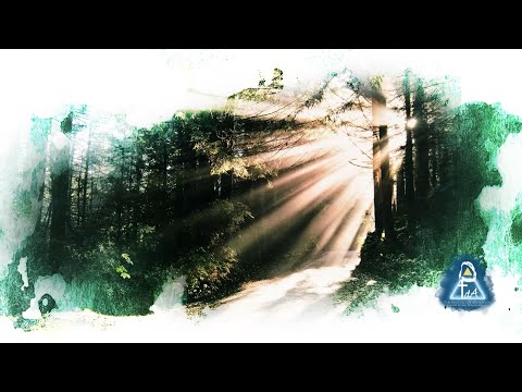 Que Conocerte Fue Simplemente Lo Mejor - Hno. Esteban Salazar - Tabernáculo De Adoración