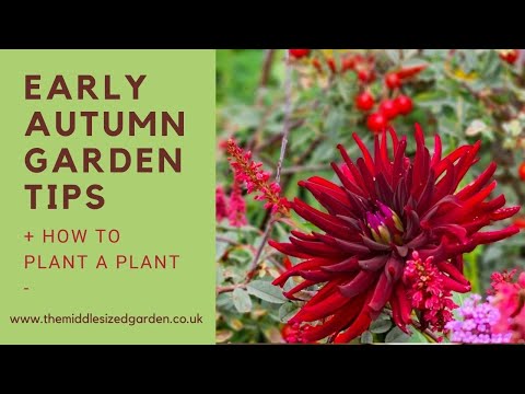 , title : 'Early autumn garden tips....how to plant a plant'