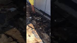 WickRight reinforces rotting roof trusses, caused by moisture intrusion into masonry parapet walls.