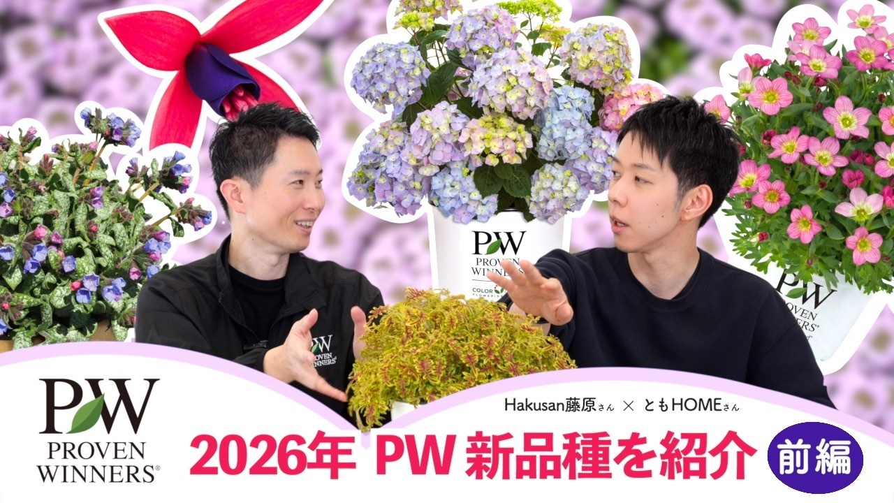 PW2026新品種紹介　前半