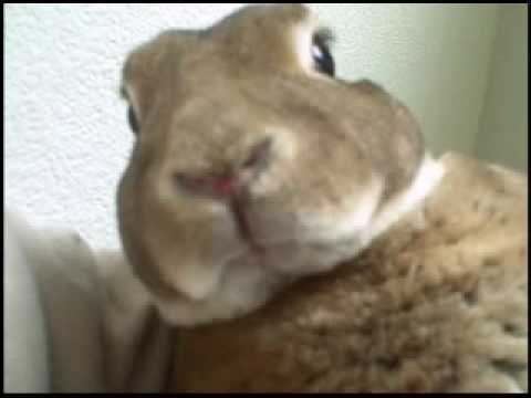 CLEAR THE AIR-100PERCENTREALWORDS.BLOGSPOT.COM