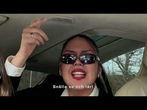 Pussytiv, koskos mp4