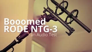 Rode NTG-3 on a Boom Pole