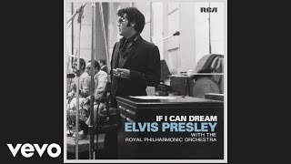 Elvis Presley - And the Grass Won&#39;t Pay You No Mind (Audio)