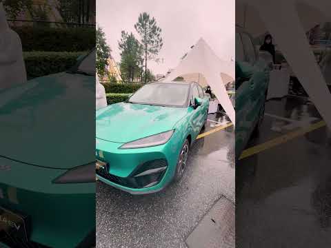 261021 WEBMOTORS REELS LEPAS V1