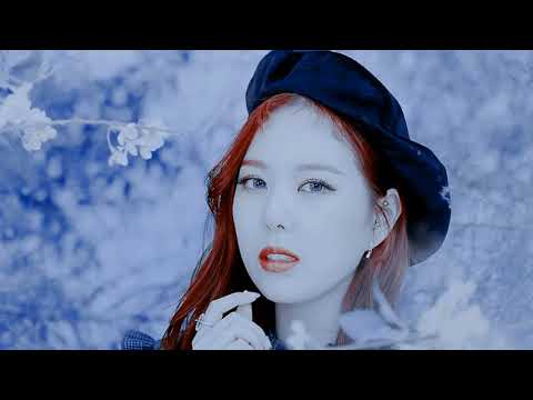 SONAMOO 소나무 | Devil carnival