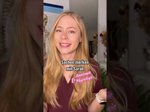 Erregungsleitung des Herzens 🫀⚡️ Merkspruch #sachenmerkenmitsarah #anatomie #medizinstudium