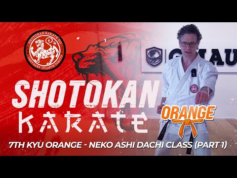 Shotokan Karate - 7th Kyu - Orange Belt - Neko Aski Dachi Class (Part 1) thumbnail