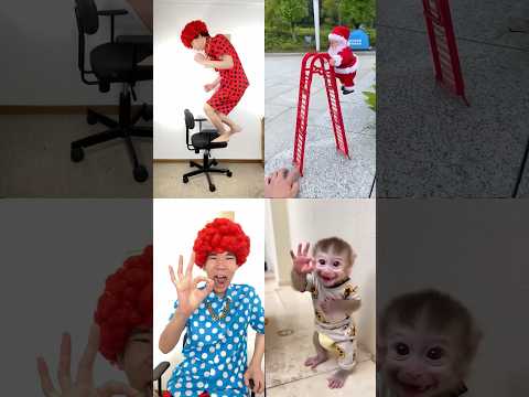 @KibToys-r1r @Indiahistorie