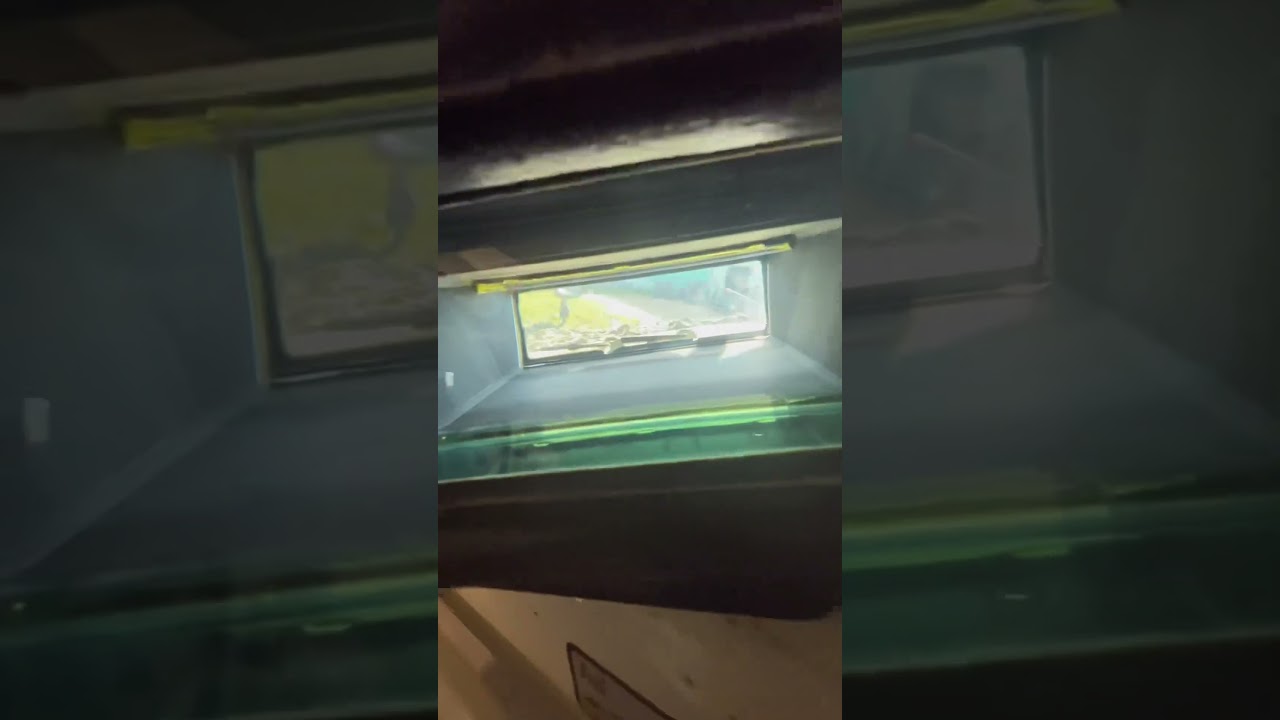 Driver seat of the Leopard 2A4 main battle tank. #tank #leopard2 #driver #cars #army #military