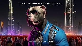 Pitbull X Skeletron - I Know You Want Me X Taal (Mashup)
