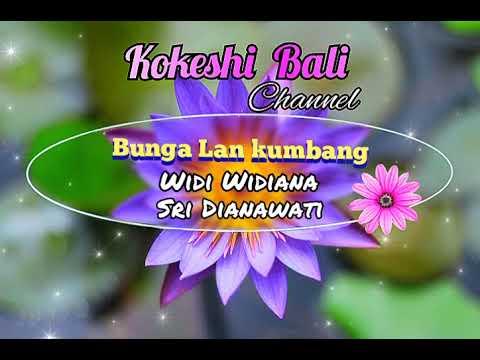 𝐁𝐔𝐍𝐆𝐀 𝐋𝐀𝐍 𝐊𝐔𝐌𝐁𝐀𝐍𝐆 - 𝐖𝐈𝐃𝐈 𝐖𝐈𝐃𝐈𝐀𝐍𝐀 & 𝐒𝐑𝐈 𝐃𝐈𝐀𝐍𝐀𝐖𝐀𝐓𝐈