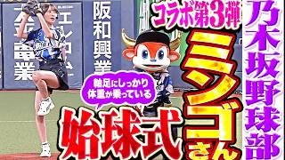 【乃木坂野球部】ネコバス…ミンゴさんのセレブすぎる始球式【コラボ第3弾】