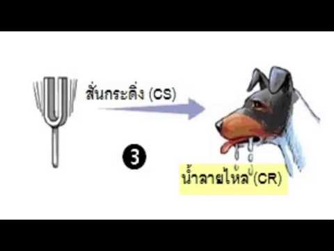 เงินทุนจากความอ่อนแอชาย ตำนานของค้อนพรูของตน