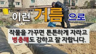 이런 거름으로 작물을 가꾸면 튼튼하게 자라고 병충해도 강하고 잘 자랍니다. #주말농장 텃밭 농사 잘 가꾸는 …