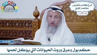 81 - حكم بول وعرق وروث الحيوانات التي يؤكل لحمها - عثمان الخميس