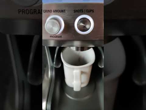 Sage BCG820BSSUK Smart Grinder Pro Coffee Grinder, Silver  #Shorts