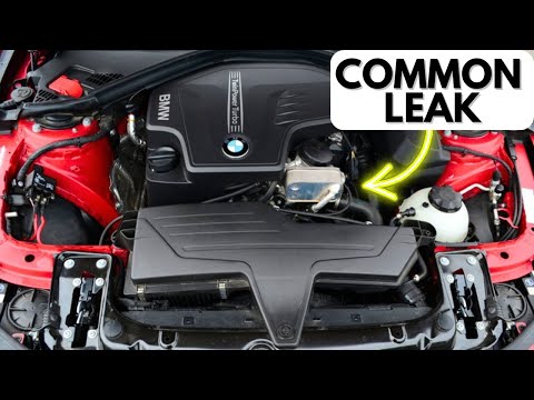 FIX The Most Common BMW Oil Leak