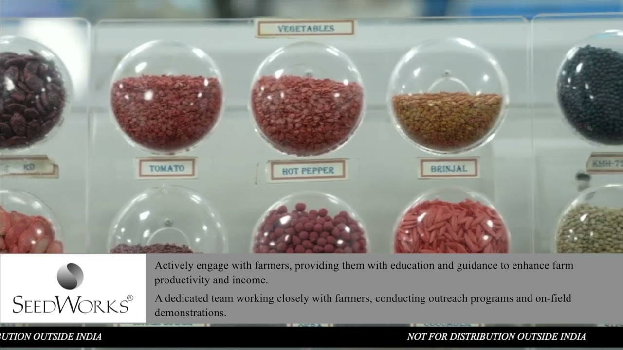 SEED WORKS INTERNATIONAL - STATUTORY /REFLECTIONS FILMS