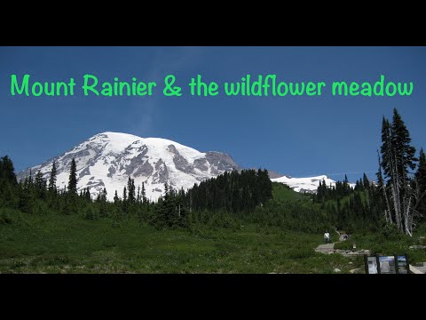 Mount Rainier National Park – and the Beautiful Wildflower Meadows