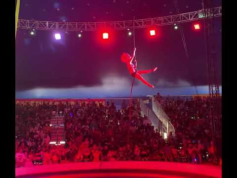 image-How much are Garden Brothers Circus tickets?