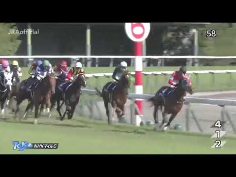 NHKマイルカップ　2019.5.5