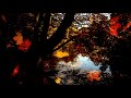 Fariborz Lachini - Dance of Leaves (1991)