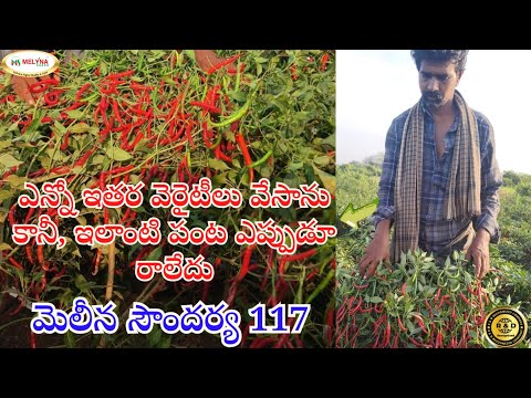 MELYNA SOUNDARYA 117