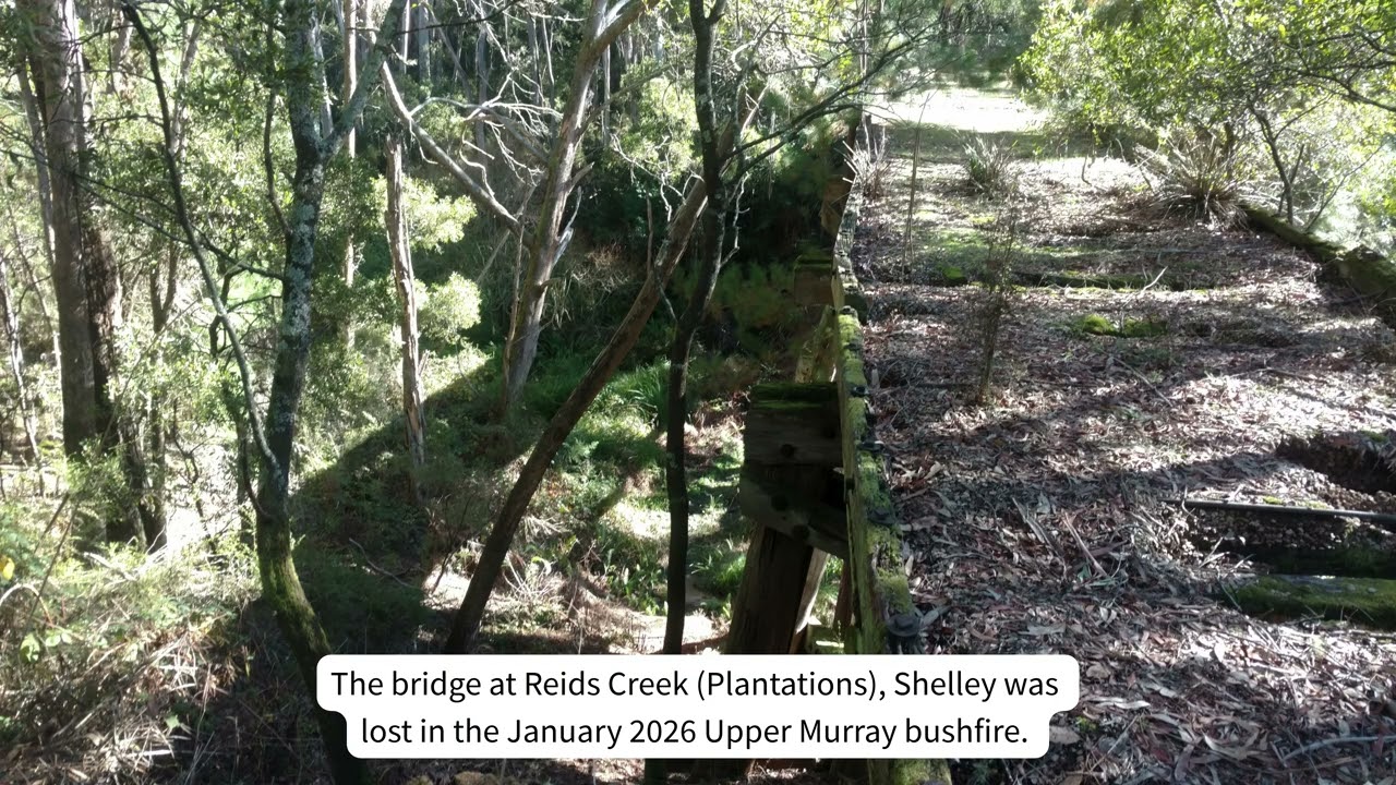 Reids Creek (Plantations), Shelley
