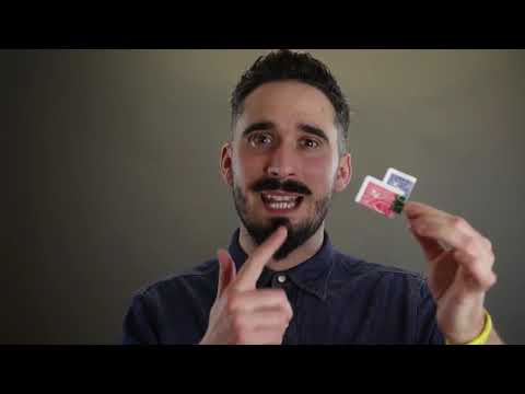 Bulldog by Joel Dickinson