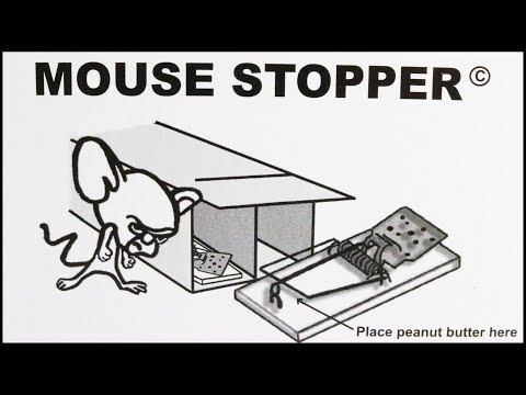 The Mouse Stopper Mouse Trapping System. Mousetrap Monday.