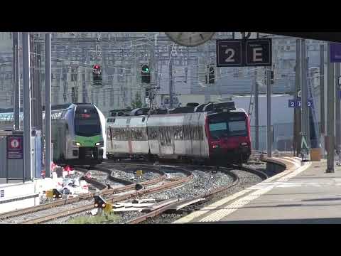 RE Berne - Fribourg Domino 2022.08