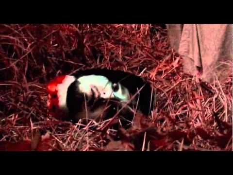 short version of 'better in hell' by dedboy