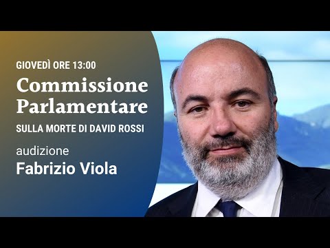 Commissione parlamentare sulla morte di David Rossi: Fabrizio Viola