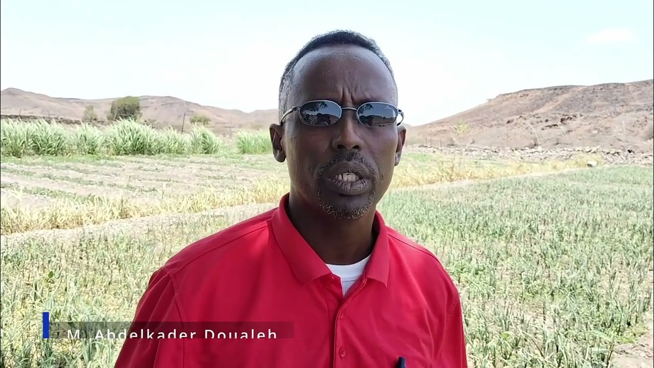 M. Abdelkader Doualeh - Messages pour les jeunes