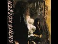 Richie Kotzen:-'Plaid Plesiosaur'