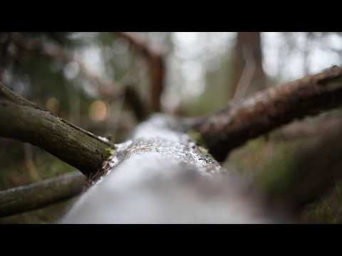 Yksi, kaksi, kolme, neljä