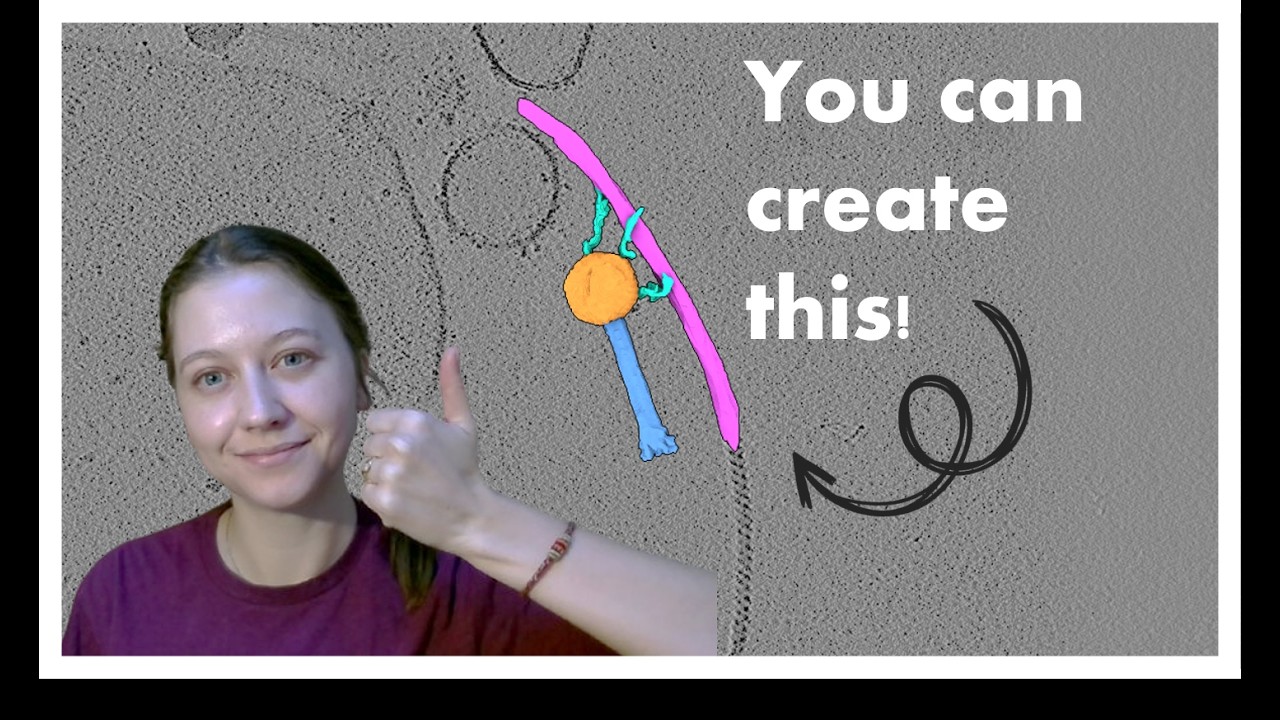 INTRO: Processing a cryoET dataset (Agrobacteriophage 7-1-1)