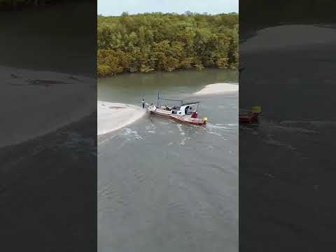 Ilha dos pássaros em Turiaçu Maranhão #maranhão #nordeste #ilhadospassaros