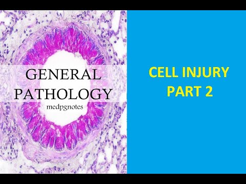 GENERAL PATHOLOGY II CHAPTER 2 II CELL INJURY II PART 1 II ROBBINS PATHOLOGY