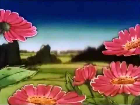 Cengâver - Interlude (Zaman)