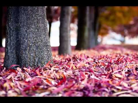 Dragoljub Lazarević - Kad su vrata škripnula