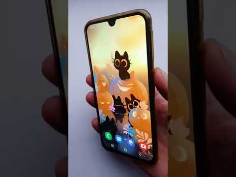 Looking for Pumpkins Video