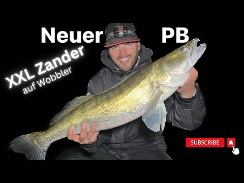 XXL Zander auf Wobbler , neuer PB