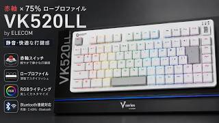 ロープロファイルなJIS配列赤軸「エレコム VK520LL」思いの外静か